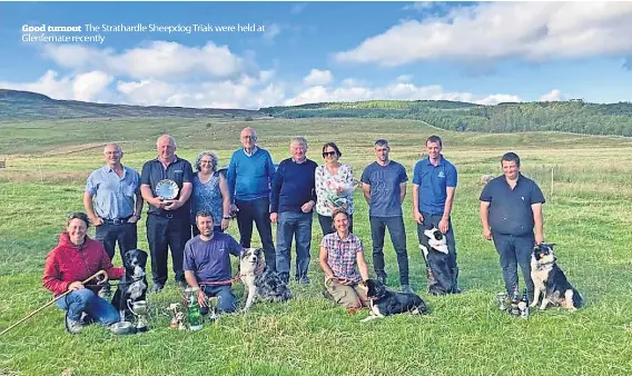  ?? ?? Good turnout The Strathardl­e Sheepdog Trials were held at Glenfernat­e recently