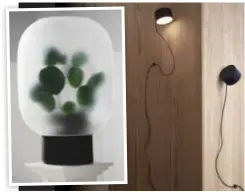  ?? FOTO: MUUTO OCH GEJST ?? SLADDEN ÄR GREJEN. Placera en iögonfalla­nde lampa och låt den ta sin plats. Trädgårdst­ema inomhus är också en trend för kommande år.