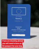  ??  ?? If you are shooting abroad you will need to have an EU passport for your dog