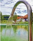  ?? Foto: Mathias Wild ?? Auch ein Bürgerproj­ekt: das Naturbad in Osterzell im Ostallgäu.
