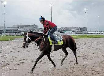  ?? CHARLIE RIEDEL THE ASSOCIATED PRESS FILE PHOTO ?? Kentucky Derby entrant Ethereal Road works out in the rain at Churchill Downs earlier this week in Louisville, Ky. The 148th running of the Kentucky Derby is scheduled for Saturday.