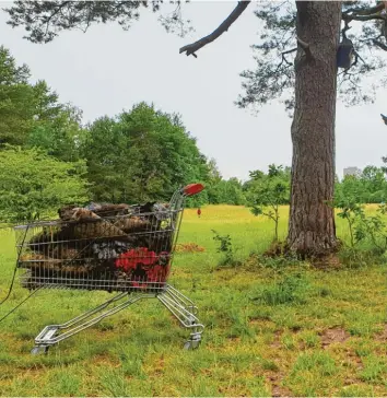  ?? Foto: Nicolas Liebig ?? Abfall im Naturschut­zgebiet: Eingesamme­lter Müll auf der Dürrenasth­eide.