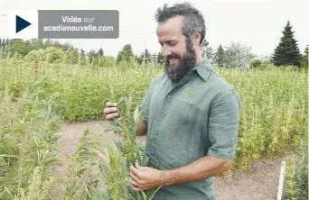  ??  ?? Daniel LeBlanc assure que le chanvre sera l’un des matériaux de futur. - Acadie Nouvelle: Simon Delattre