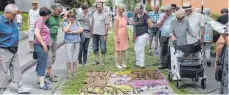  ??  ?? Viele Menschen pilgerten nach Westerheim zu den Blumentepp­ichen.