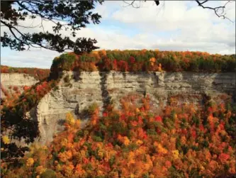  ?? FINGER LAKES TOURISM, TNS ?? Letchworth State Park is one of the most scenic areas in the Finger Lakes.