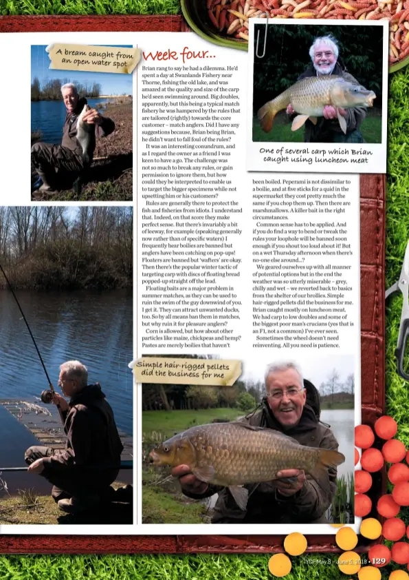  ??  ?? One of several carp which Brian caught using luncheon meat Simple hair-rigged pellets did the business for me A bream caught from an open water spot