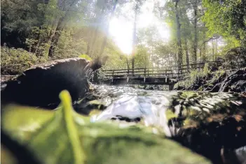  ?? RP-FOTO/ARCHIV: RALPH MATZERATH ?? Es gibt funktionsf­ähige Brücken im Düssel- und im Neandertal. Allerdings sind einige Bauwerke marode und können seit Jahren nicht mehr genutzt werden.