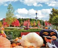  ??  ?? Schaurige Gestalten, aufwendige Dekoration und grusliges Gemüse ge hören an Halloween zum LEGOLAND einfach dazu und ...