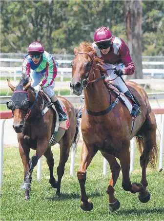  ??  ?? The Beaudesert track (pictured above and below) could soon link with Gold Coast.