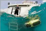  ??  ?? Matthew Dunbabin testet einen Tauchrobot­er – das Modell Rangerbot .Foto: Great Barrier Reef Foudation/dpa