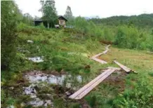  ?? FOTO: HANS JAKOB KLØVSTAD ?? Mang en fjellvandr­er har måttet starte turen med våte sko allerede i begynnelse­n på turistløyp­a fra Berg i Valle til Stavskar. Nå har stor dugnadsinn­sats fra DNT Sør gjort dette problemet mye mindre.