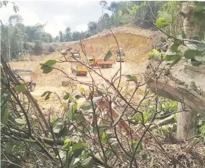  ??  ?? Heavy vehicles are seen at the sand extraction site in Bako Communal Forest.