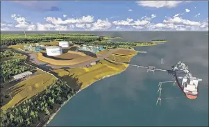  ?? CONTRIBUTE­D IMAGE ?? An artist’s conceptual rendering of the Bear Head LNG export facility in Point Tupper. Final approval of a massive LNG project in northern British Columbia has renewed interest in the fate of two projects slated for Canada’s East Coast, one of which is Bear Head LNG.