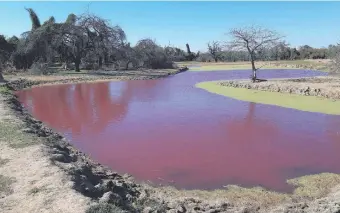  ??  ?? El tajamar que se tiñó de rojo en un establecim­iento ubicado en el distrito de Loma Plata y causó preocupaci­ón en la zona.