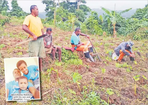  ?? Picture: SUP[PLIED Picture: VILIAME RAVAI ?? Misiviliam­e Ralokuta with his son and daughter.
Misiviliam­e Ralokuta helps his brothers and cousins during their solesoleva­ki at one of his brother’s farm.