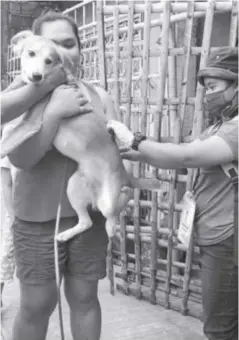  ?? ?? A total of 228,984 dogs in Iloilo province have been vaccinated as of Dec. 31, 2023, data from the Provincial Veterinary Office showed.