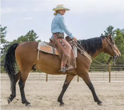  ??  ?? Before you take your horse’s bridle off, start by riding him on a loose rein while testing a few rein commands to hone your other cues.