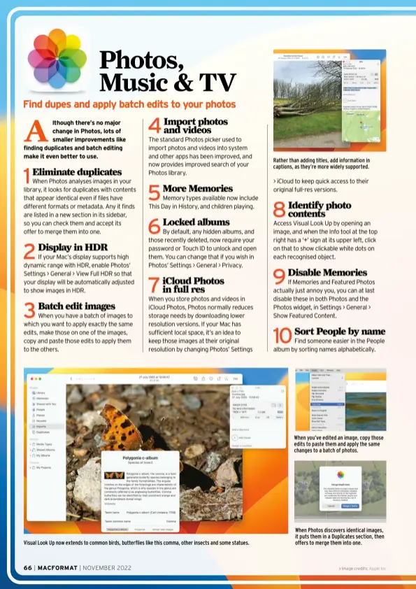  ?? ?? Visual Look Up now extends to common birds, butterflie­s like this comma, other insects and some statues.
Rather than adding titles, add informatio­n in captions, as they’re more widely supported.
When you’ve edited an image, copy those edits to paste them and apply the same changes to a batch of photos.
When Photos discovers identical images, it puts them in a Duplicates section, then offers to merge them into one.