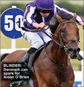  ?? ?? BLINDER: Denmark can spark for Aidan O’Brien