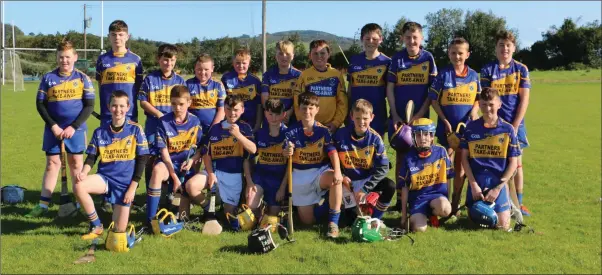  ??  ?? The Carnew Emmets under-13 hurlers after their ‘B’ championsh­ip semi-final victory over Éire Óg Greystones in Ballinakil­l on Saturday.