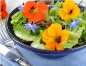  ?? ?? Nasturtium­s on a salad