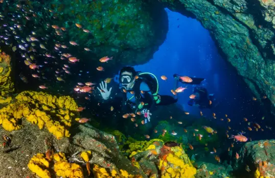  ??  ?? OPPOSITE PAGE
A large oceanic manta ray flies overhead at Black Rock
ABOVE
A diver negotiates the tunnels of Shark Cave