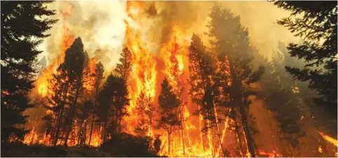  ?? ?? Wildfires ranged in Canada throughout 2023, pushing up global tree losses