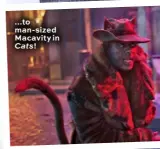 ??  ?? ...to man-sized Macavity in Cats!
