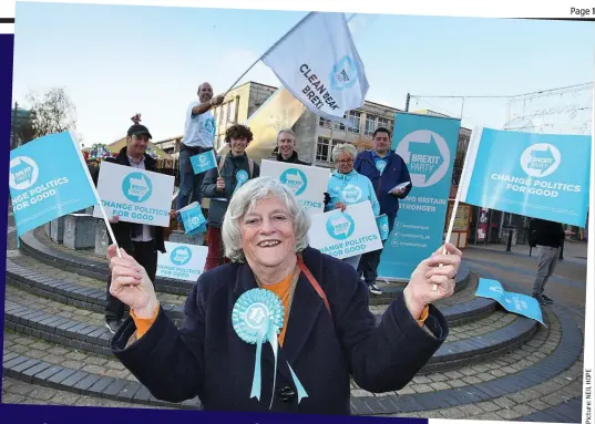  ??  ?? On the stump: Widdecombe and the Brexit Party this week