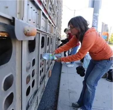  ?? ELLI GARLIN/THE CANADIAN PRESS ?? Animal-rights activist Anita Krajnc has been acquitted of the crime of giving water to a thirsty pig on its way to be slaughtere­d.
