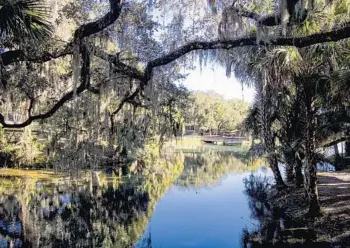  ?? PATRICK CONNOLLY/ORLANDO SENTINEL PHOTOS ?? Calm, clear waters add to the scenery at Gemini Springs Park on Nov. 30.