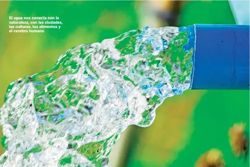  ?? Shuttersto­ck ?? El agua nos conecta con la naturaleza, con las ciudades, las culturas, los alimentos y el cerebro humano.