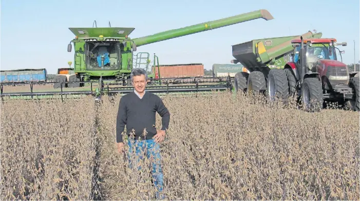  ??  ?? Sojita. Marcelo Golob, socio gerente de la firma, en un lote de soja a punto de cosecharse. El rinde promedio de este año fue de 3.800 kilos por hectárea apuntalado por las lluvias.