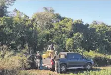  ??  ?? Agentes especiales de la Senad acomodan las bolsas repletas de droga en la carrocería de una camioneta de la institució­n.