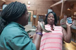  ?? Staff photo by Jerry Habraken ?? Teresa Ellis from Hope, Ark., leans away when given the opportunit­y to hold a speckled king snake, named King Louie, by Aneesah Rasheed from the Arkansas Game & Fish Commission during the National Travel and Tourism Days celebratio­n Wednesday at the...