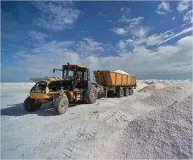 Chlor Alkali disinvest from Botash | Botswana Guardian | PressReade­r