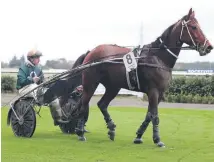  ?? Photo: ROBYN EDIE/FAIRFAX NZ 630874334 ?? Matthew Williamson driving The Badger, who was the first of four winners for the reinsman at Ascot Park on Saturday.