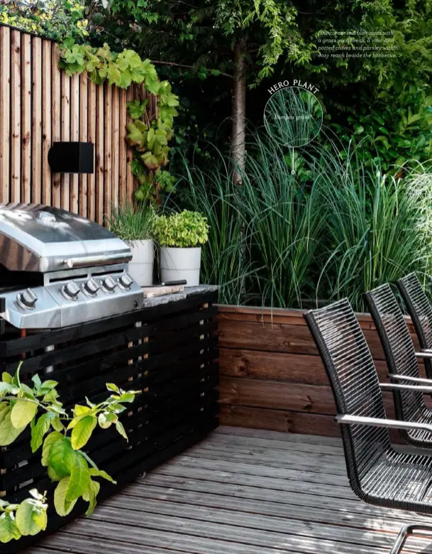  ??  ?? One corner is a lush oasis with a grass wind break, a vine and potted chives and parsley within easy reach beside the barbecue. >