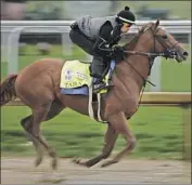  ?? Charlie Riedel Associated Press ?? KENTUCKY DERBY entrant Taiba works out at Churchill Downs on Tuesday. His recent odds are 12-1.