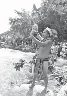  ?? Photo by Redjie Melvic Cawis/file ?? CALLING OUT. An ifugao elder from Hapao, Hungduan presents a "kina'ag," a human figure made of rice stalks, and a sacred plant called "dongla" during the punnuk ritual along the Hapao River. The punnuk ritual is a tradition in Ifugao performed in celebratio­n of a bountiful harvest. Punnuk which is held along the Hapao River, marks the completion of the rice harvest and the beginning of a new agricultur­al cycle. The ritual highlights the communitie­s’ continuing respect for their ancestral culture, tradition, and beliefs.