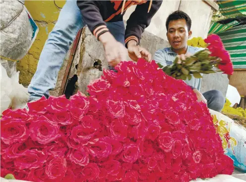  ?? SUNSTAR FOTO / ARNI ACLAO ?? PAINTING THE TOWNRED. Flower vendors display red roses at Freedom Park, Cebu City. A dozen of these can cost up to P450. As Valentine’s Day draws near, vendors say the price will even go higher.