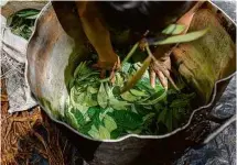  ?? Avener Prado -9.mar.18/Folhapress ?? Preparação tradiciona­l de ayahuasca