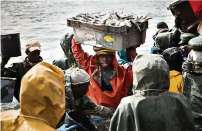  ?? (GUILLAUME COLLANGES) ?? Plus vite les porteurs de poissons font l’aller-retour jusqu’au port de déchargeme­nt 150 mètres plus haut, plus ils gagnent de quoi vivre.