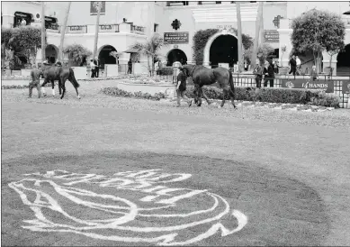  ?? SUSIE RAISHER ?? Del Mar, founded by Bing Crosby and Pat O’Brien, is hosting the Breeders’ Cup for the first time.