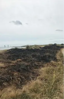  ??  ?? Part of the Mornington dunes were set on fire following a barbeque recently. Picture Karen Smyth.