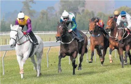  ?? Picture / NZ Racing Desk ?? Coldplay (centre) is the $5 joint favourite for the Japan Internatio­nal Trophy tomorrow.