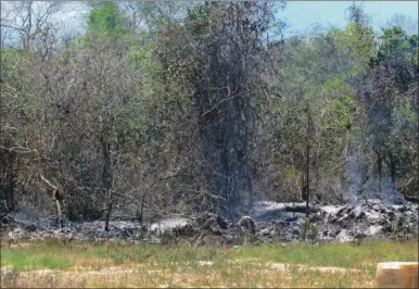  ?? ?? Una de las zonas que se incendió en días pasados en Valladolid, donde por momentos se reavivan algunos puntos y generan humaredas