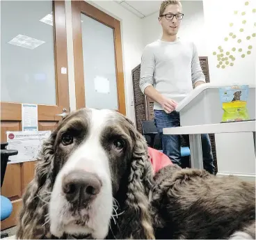  ?? BONNIE JO MOUNT / WASHINGTON POST ?? Devon Wallick practises his commenceme­nt speech in the presence of Dexter, a four-year- old springer spaniel, at American University. Dexter is among several dogs enlisted to help students gain confidence in public speaking.