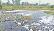  ?? HT FILE ?? Yamuna river criss-crosses Yamunanaga­r, Karnal, Panipat, Sonepat, Faridabad and Palwal districts, which have a number of polluting industries, state before entering Delhi.