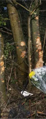  ??  ?? Flowers at the scene of the accident at Ballylough, Ferns, where Jim Brennan lost his life on January 12, 2015.